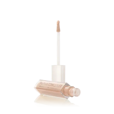 PERFECT CONCEALER
